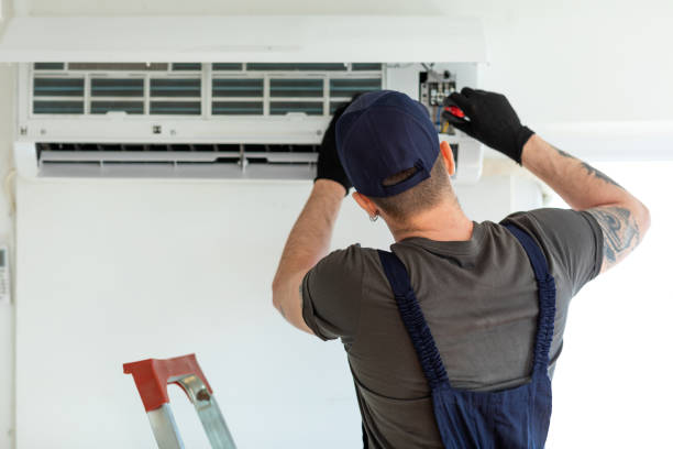 Best Home Air Vent Cleaning  in Lowell, MI