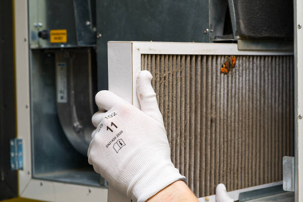 Best Air Vent Cleaning Services  in Lowell, MI