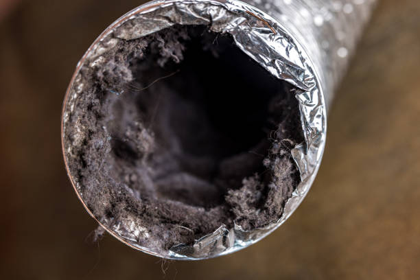 Best Air Duct Cleaning Near Me  in Lowell, MI