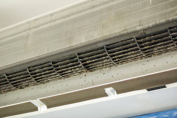 Best Best Air Duct Cleaning Company  in Lowell, MI